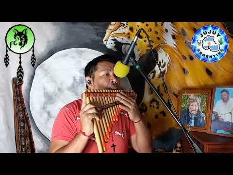 Desde el día que te fuiste/Fernando Chañi (Fraile Pintado🍅Jujuy🌵Argentina🇦🇷)