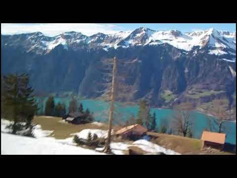 Tütatoo Postauto Axalp mit Reh April 2018