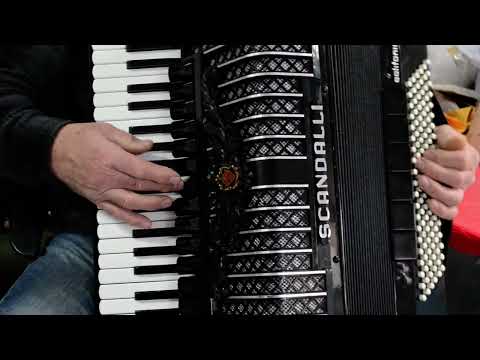 TOP Quality Accordion Scandalli Polifonico XIV-120 Bass,19 sw.+Brand New Set Shoulder Straps&New Bag