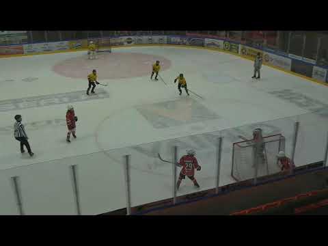 Kalpa E Yellow - PiPS 29.10.23