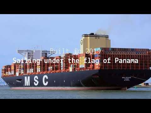 MSC GULSUN SHIP - CONTAINER SHIP