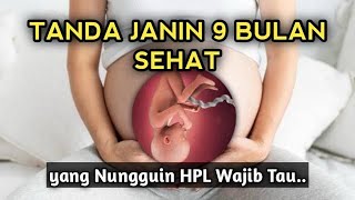 Download lagu Tanda Janin Sehat saat Hamil 9 Bulan mp3 Download lagu Tanda Janin Sehat saat Hamil 9 Bulan mp3