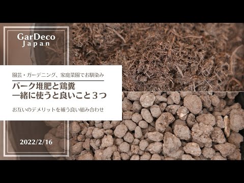鶏糞を肥料として使用する: 庭の自然の驚異 + ビデオチュートリアル  庭園