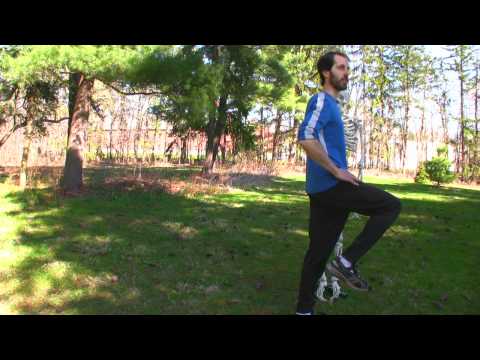 10 Anatomy of the Psoas