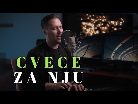 PEDJA JOVANOVIC - CVECE ZA NJU (COVER)