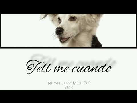 Julio "Tell me Cuando" lyrics - PUP STAR