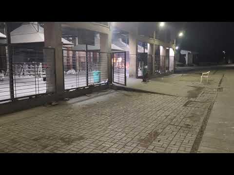 Navipeth Vaikunth smashan bhumi, dogs playing with your beloved