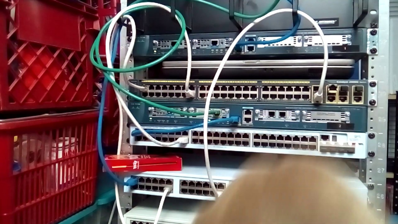 Watch Now Pikachu and Ryo-Ohki setup internet Pikachu and Ryo-Ohki setup internet