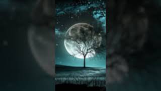 Download lagu Nia Daniaty - 378 #shorts #shortlirik #liriklagu #lagumelayupopuler mp3 Download lagu Nia Daniaty - 378 #shorts #shortlirik #liriklagu #lagumelayupopuler mp3