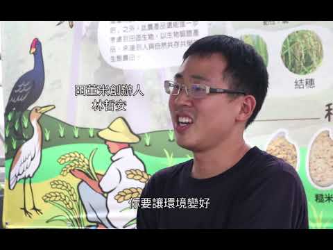 水鳥在身邊 新南田董米懂鳥也懂米