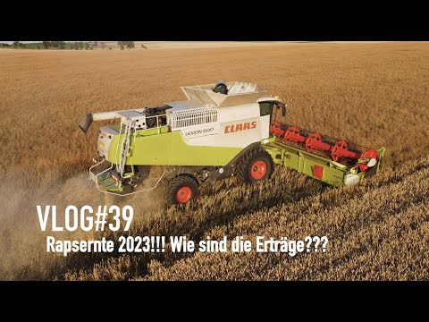VLOG#39 Rapsernte 2023!!! Wie sind die Erträge???