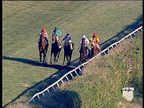 Galoppo 13/01/2020 - 2ª corsa