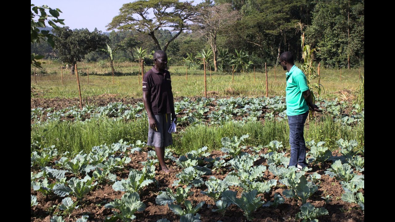 CREATS Community Development