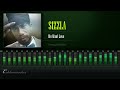 Sizzla - We Want Love (Tempo Riddim) [HD]