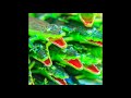 Timesnake Alligator Milkshake Blues 2019 Stoner Sludge Noise Rock