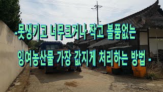 못생기고 너무 크거나 작아 볼품없는 잉여농산물 가장 값지게 처리하는방법
