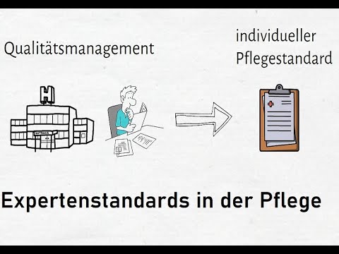 Expert standards in nursing - basics and practical examples