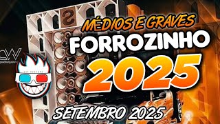 FORROZINHO PRA PAREDÃO 2025 MÉDIOS E GRAVES  #forrozin #piseiro #forrozinho #nordeste