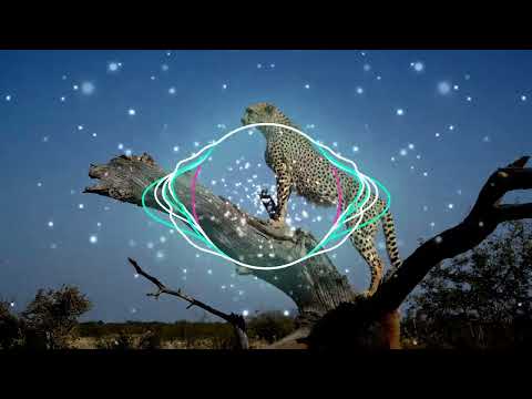 [CHAMPETA AFRICANA] 🎵LA MEDICINA - ZOUK LA SE SEL MEDIKAMAN NOU NI🎵