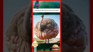 ✨ From Scrawny to Swole: The Ostrich&#39;s Incredible Transformation! #shorts #ostrich  #weightloss