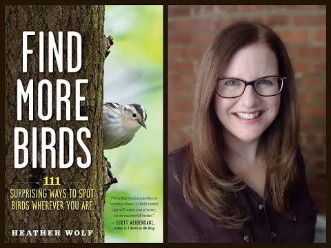 Heather Wolf Discusses "Find More Birds - YouTube