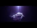 I can't see ˚◦ New York︙Tori Amos ◦ lyrics