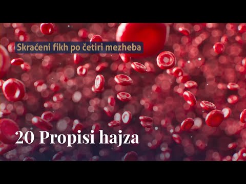 Propisi hajza - dr. Zijad Ljakić