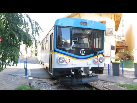 Train des Pignes (Pinienzapfenzug)