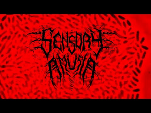 SENSORY AMUSIA - DEATH [OFFICIAL MUSIC VIDEO] (2020) SW EXCLUSIVE