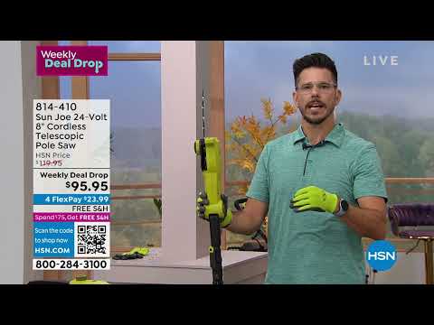 Sun Joe 24Volt 8" Cordless Telescopic Pole Saw with Spar...