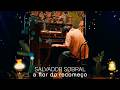 SALVADOR SOBRAL -  a flor do recomeço - videoclip oficial