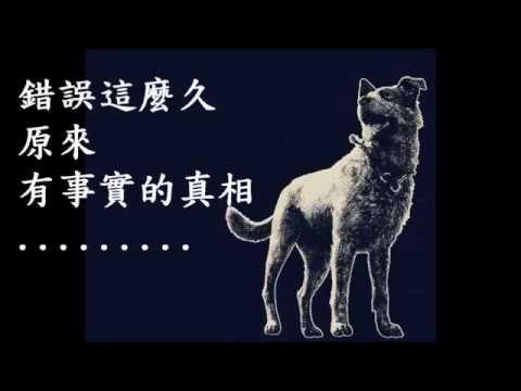死狗放水流