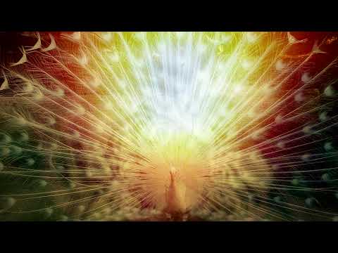 Pete Ardron - Butterfly Tree [Full Album, EEAR 2022]