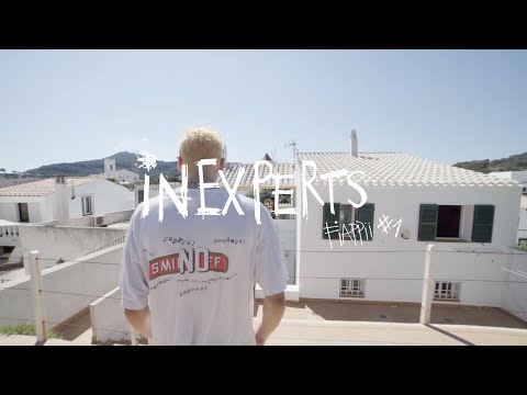 FIAPPII #1 - INEXPERTS