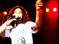 Rage Against The Machine Guerilla Radio Live On Letterman Nov 2 1999