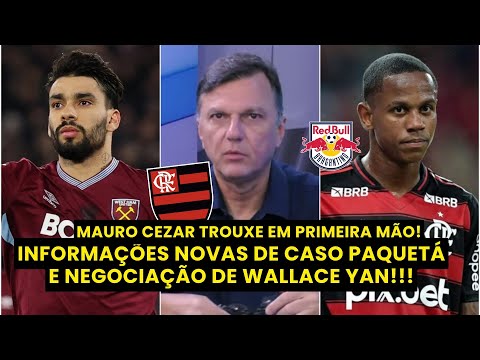 "SITUAÇÃO BEM DIFÍCIL..." Mauro Cezar ATUALIZA CASO DE PAQUETÁ e CONFIRMA SAÍDA de Wallace Yan!!!