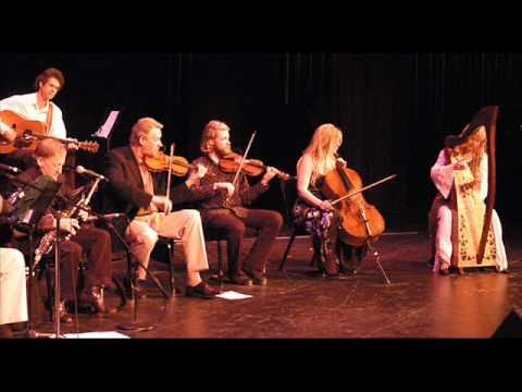 Celtic Harpist Victoria Lynn Schultz with the Chieftains and Celtic Crossings
