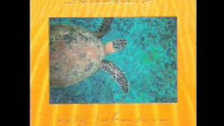 Eric Johnson - Paladin