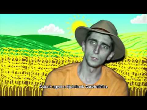 /VERZ M.I.L.F. - MMDSZ Diáknapok 2017