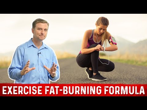 The Ultimate Fat Burning Guide Dr Berg s Webinar on Maximum Weight Loss