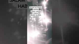Download lagu Shollu alla Nabi Muhammad 🤲. #syekhermania #boyolalibersholawat #habibsyehabdulqadirassegaf #shorts mp3