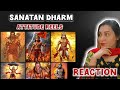 First Time Reaction To Sanatan Dharm Attitude Videos Kattar Hindu Pakistani Reaction
