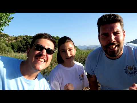 OVA ZEMLJA SRCEM VOLI SE