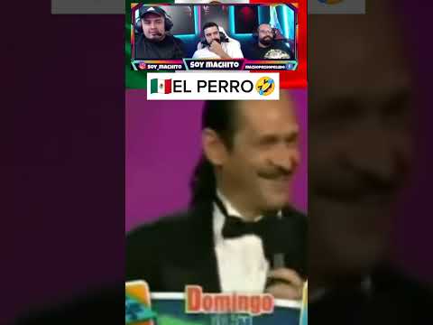 Teo Gonzáles🇲🇽 THE SMART DOG🧠🤣🤣