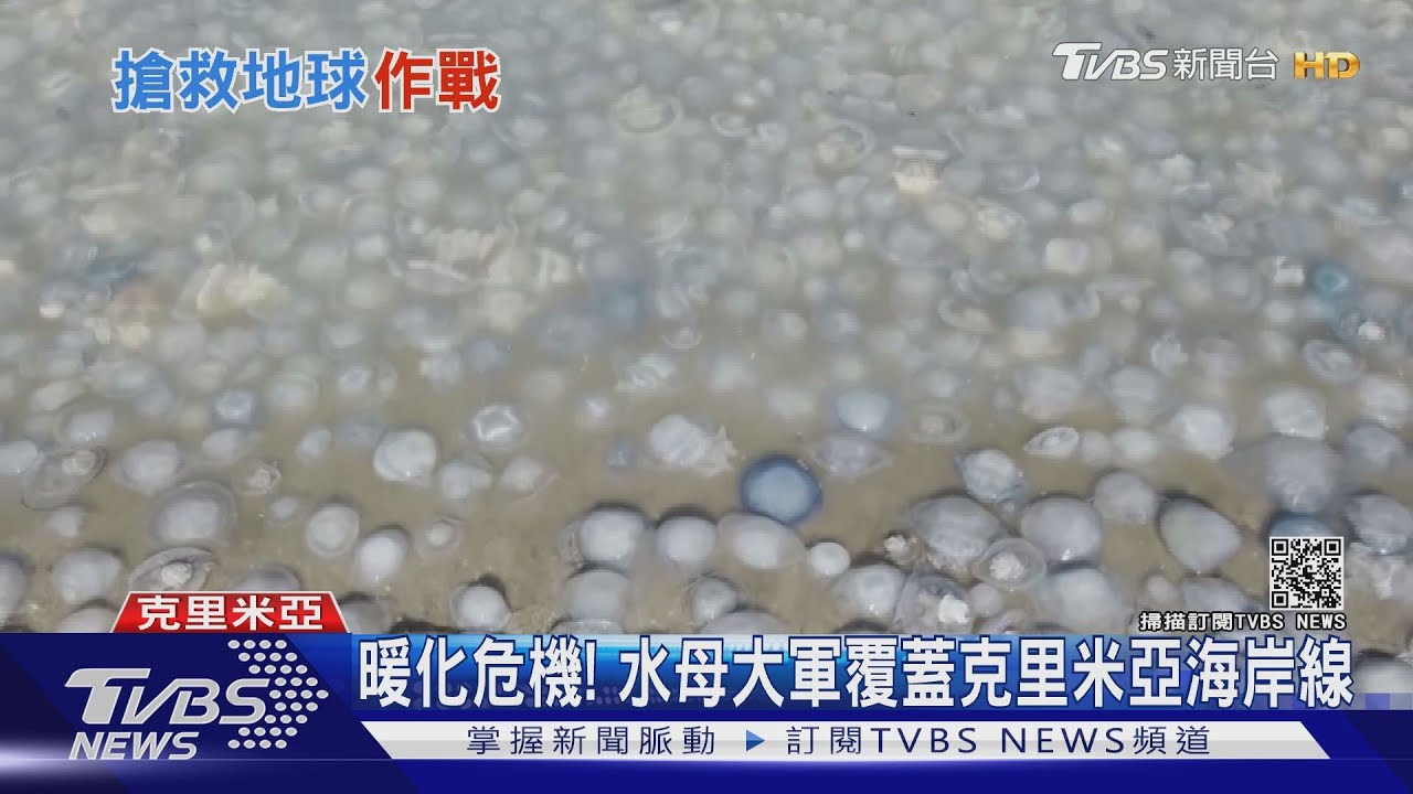 邊境管制沒鬆綁、禁觀光入台! 補教業者嘆:這讓外師超難找