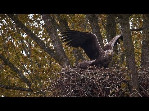 BuitenGewoon 6-05-2014 Noord Veluwe