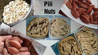 Pili nuts | Moledo na Pili nuts | Pastellas na Pili nuts | Dolce na Pili nuts