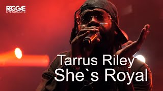 Tarrus Riley Performs &quot;she&#39;s Royal&quot; Live At Reggae Geel Festival 2023