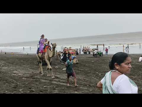 Gunjan and gurmanshu arnala beach 5