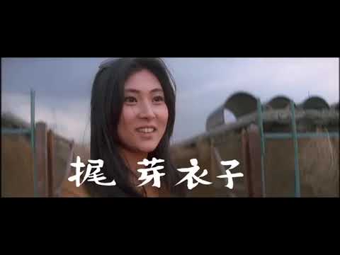 Stray Cat Rock: Delinquent Girl Boss